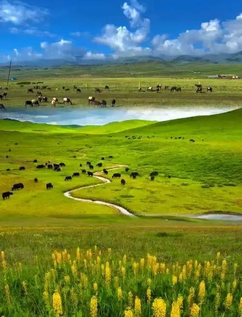 风景摄影